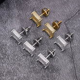 Promptus Sterling Silver Earrings